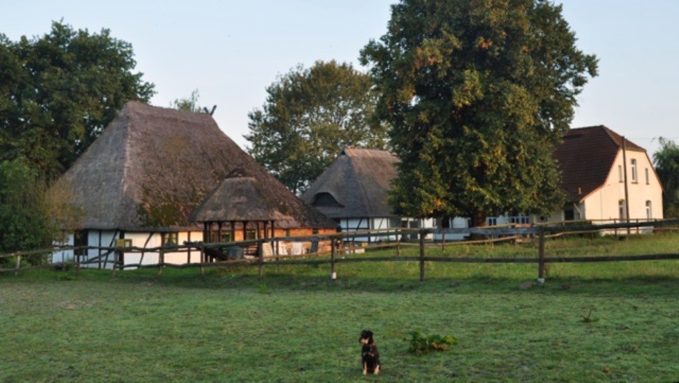 Horse farm Schwalbennest: View of our small, family-run equestrian farm in Jörnstorf, where you and your pets are welcome., © Pferdehof Schwalbennest/ Rauth