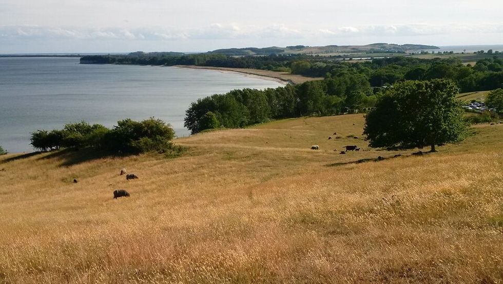 the extensive, herb-rich southern slopes, © R.F. Leipzig