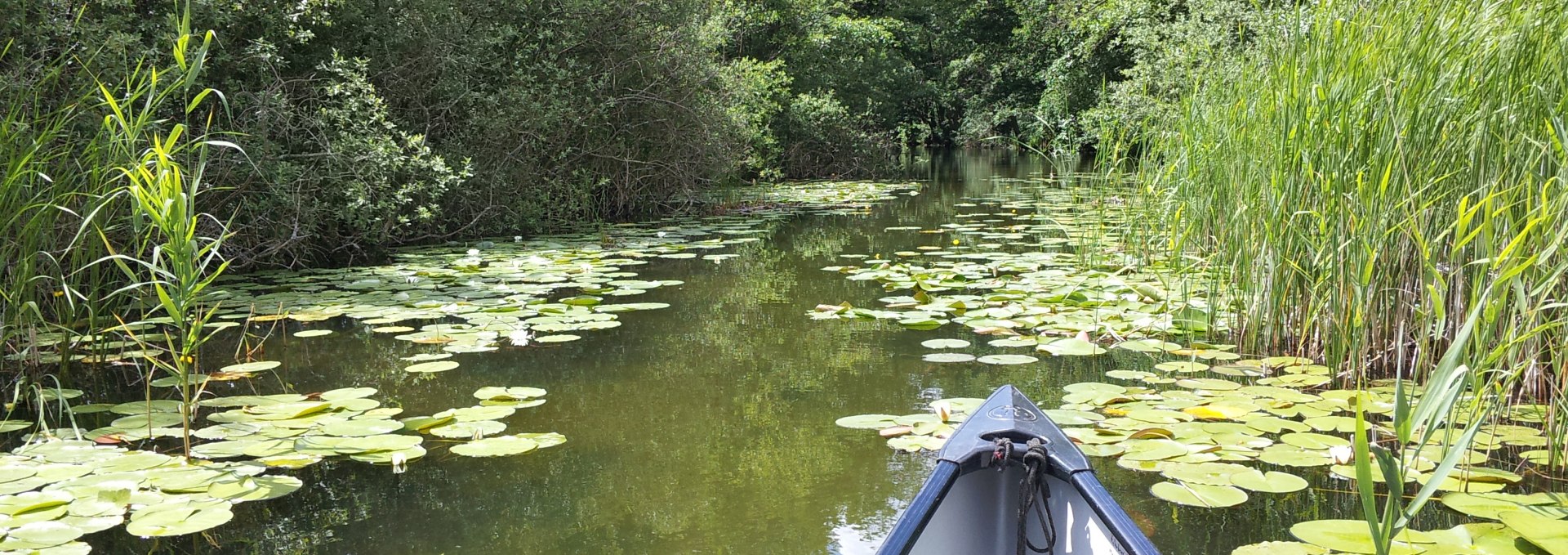 canoe, © Kormoran Kanutouring