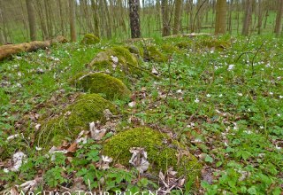 hidden in the deciduous forest are more than 400 tumuli from the Slavic period, © Archäo Tour Rügen