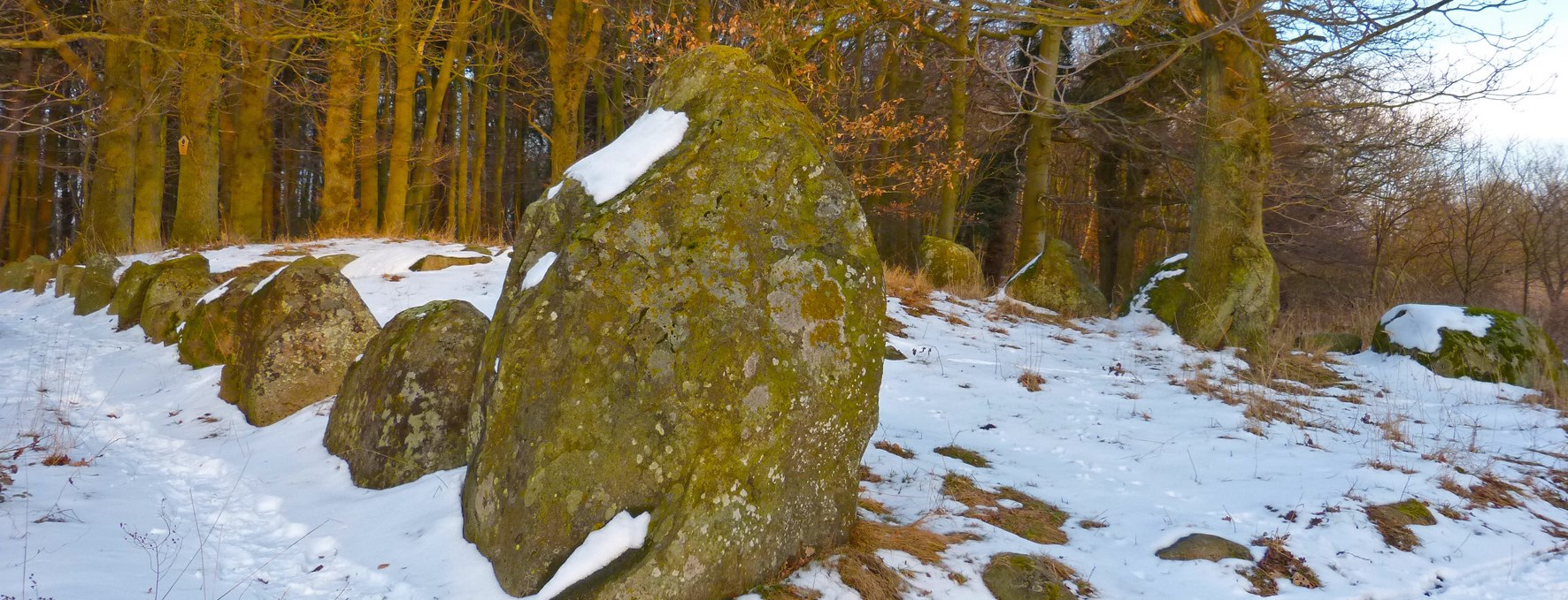 The mound grave of Dwasieden from the time around 3000 BC., © Archäo Tour Rügen