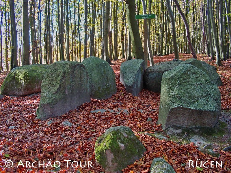 hidden in the beech woods of the Stubnitz lies the megalithic tomb "Pfennigkasten"., © Archäo Tour Rügen