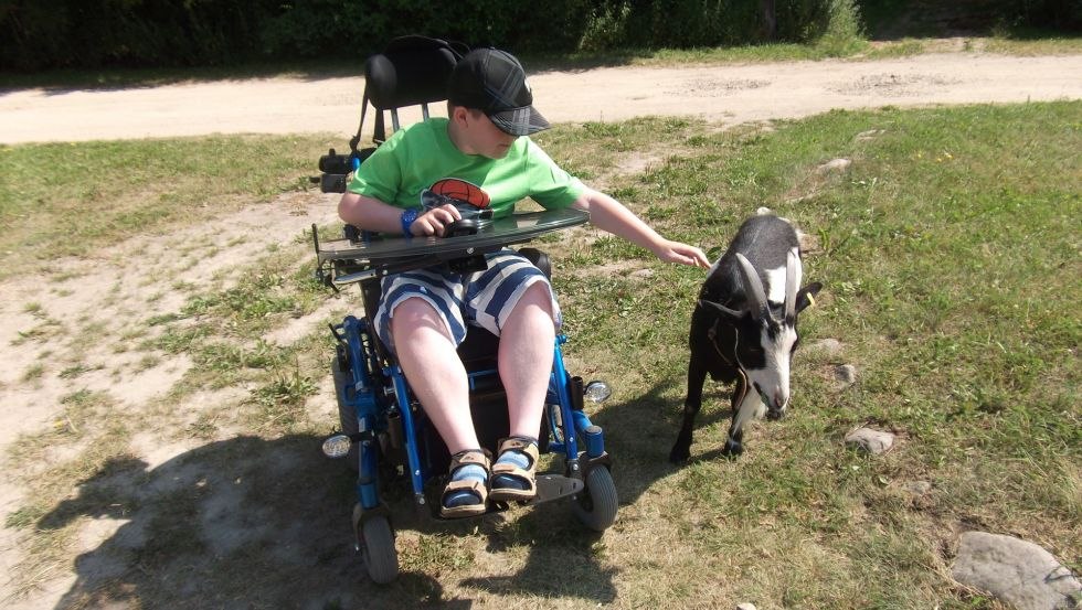 Boy with Duchenne muscular dystrophy playing with goats during recreational care by Birkenzweig e. V., © Birkenzweig e. V.