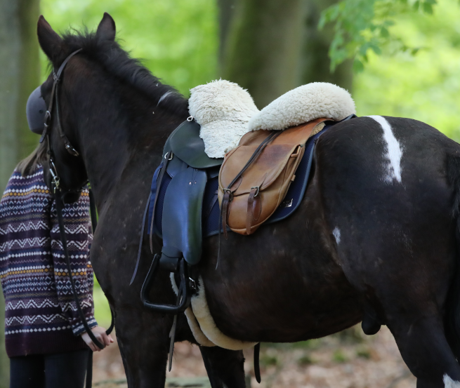 Short times out of the saddle and enjoy nature is highly recommended when hiking in Mecklenburg-Vorpommern., © TMV/Pantel