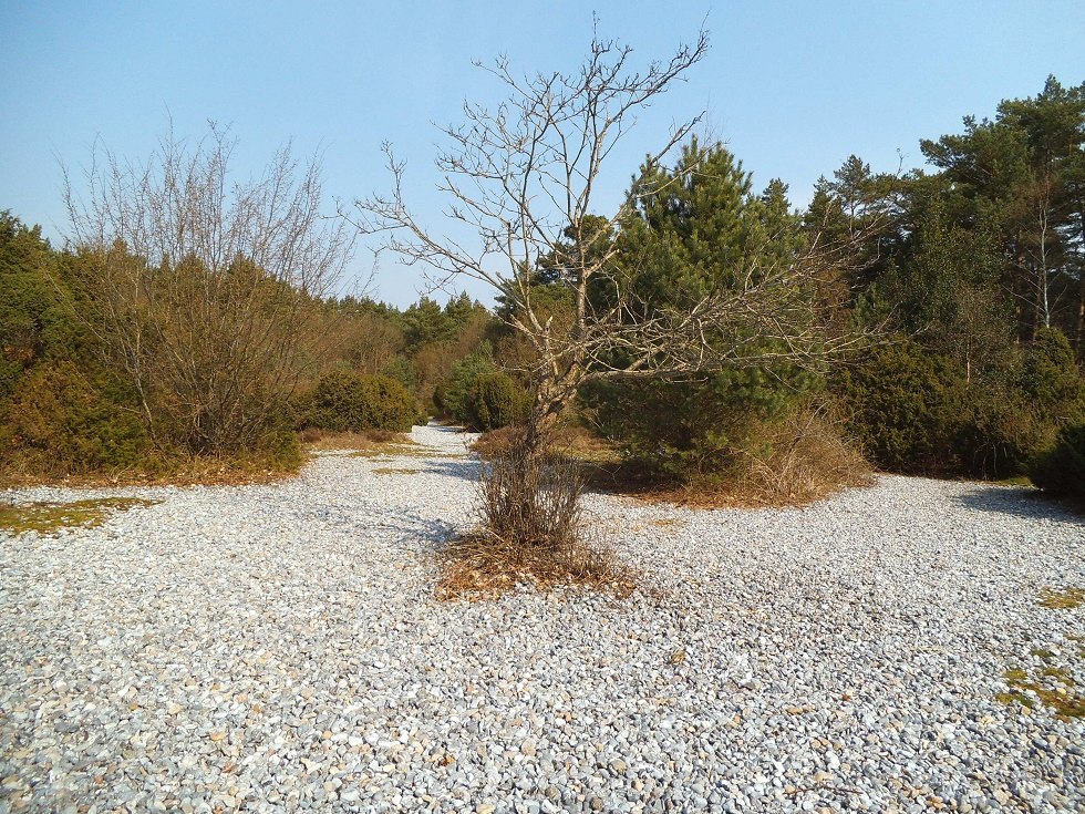 Flint fields in Prora, © Tourismuszentrale Rügen