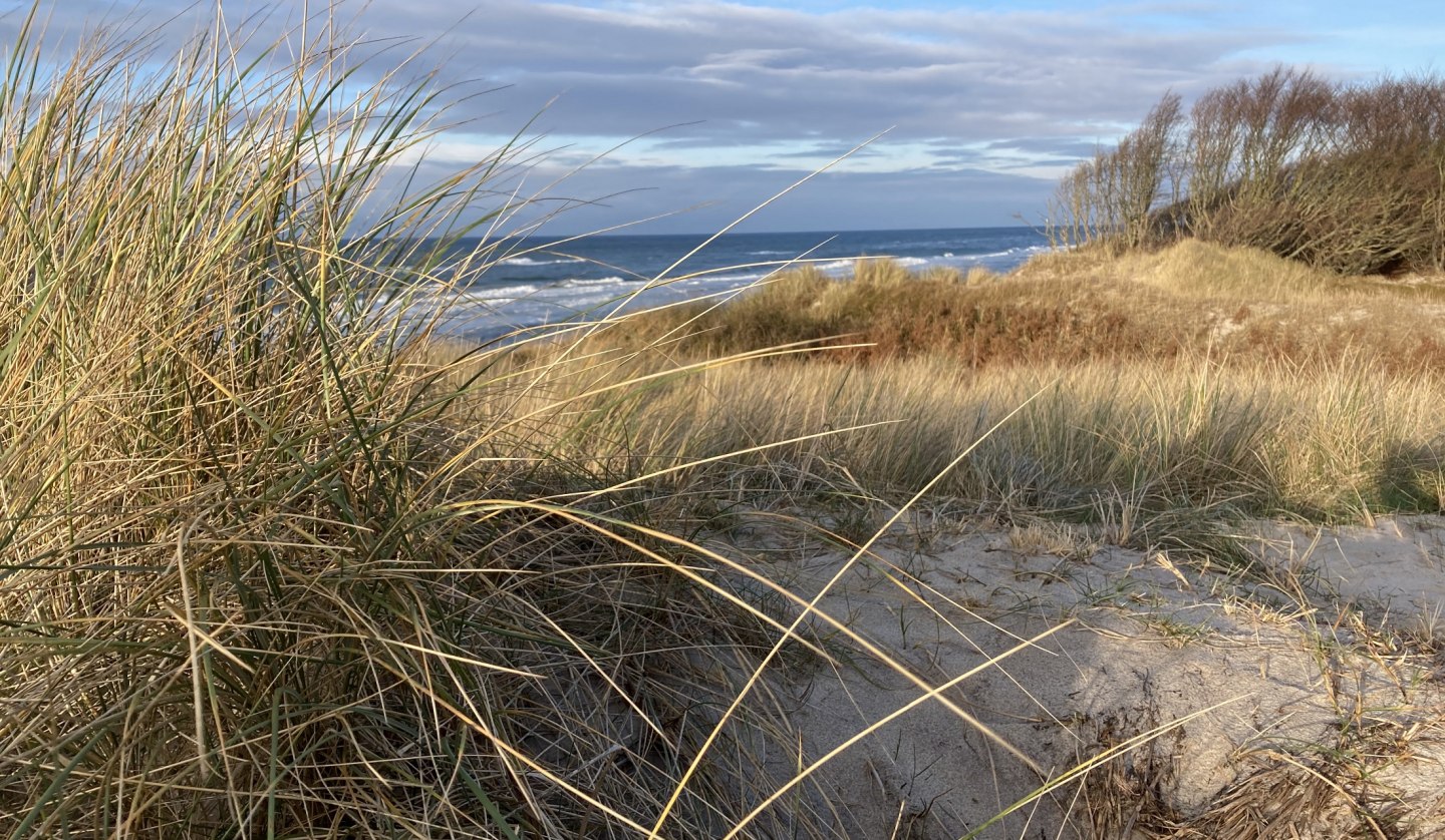 West Beach Winter, © Katrin Bärwald