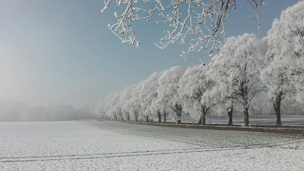 The Schaalsee region - worth a visit at any time of the year., © Daniel Wicklein