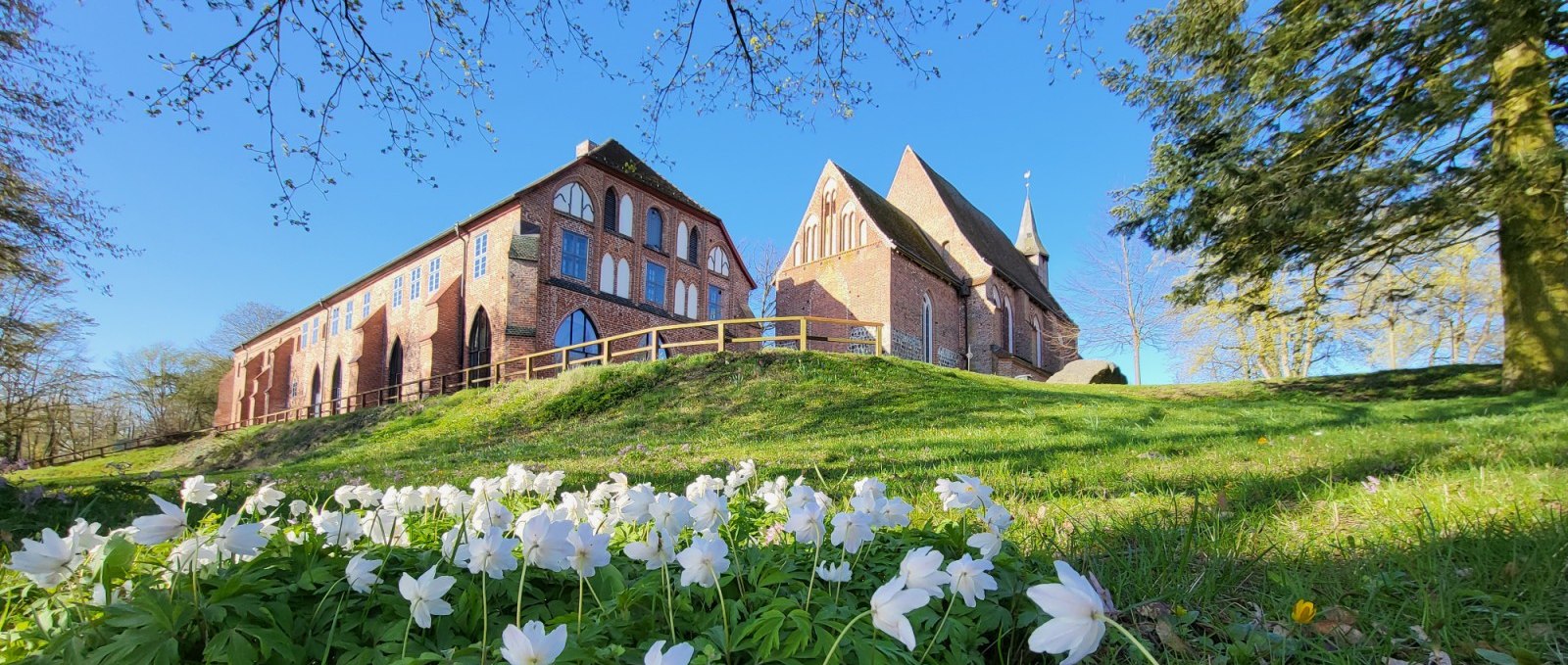 Kloster Zarrentin Anemonen_kl169, © Tourismusverband Mecklenburg-Schwerin