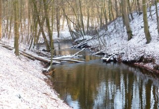 © Naturpark Nossentiner/Schwinzer Heide