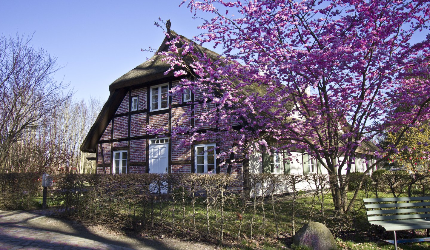 Gutshauskate, vacation under thatched roof, © Rittergut Streu