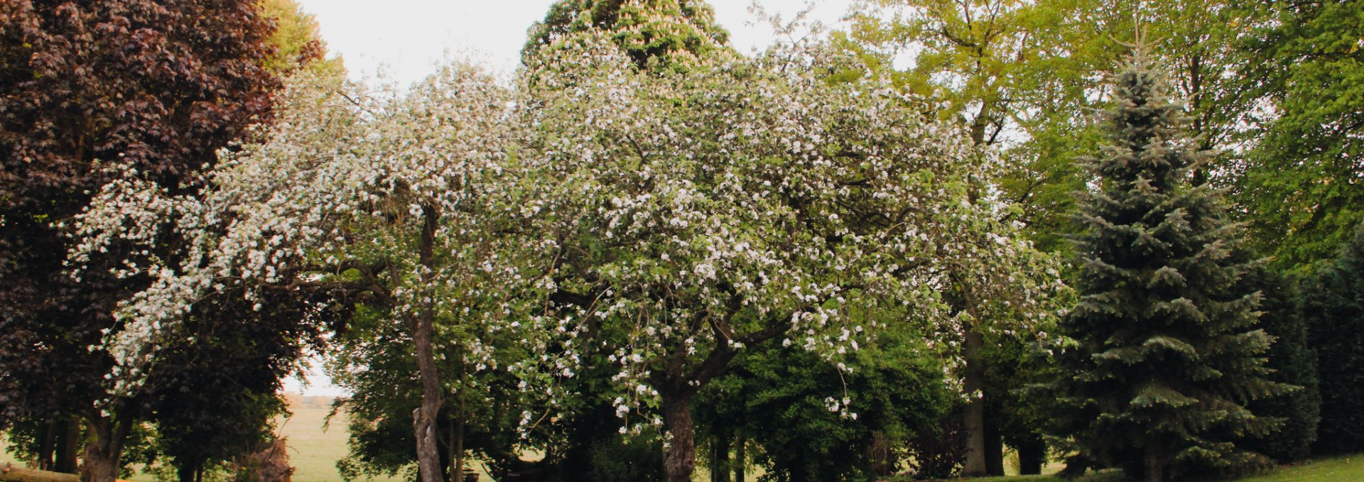 Gevezin Manor House - Park, © Iris Tischer