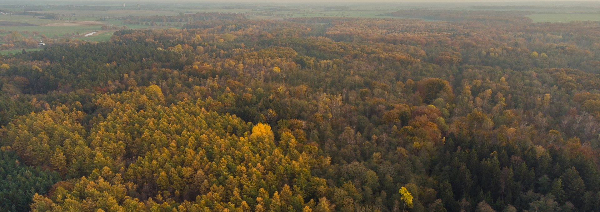 Barth city forest, © Arndt Gläser