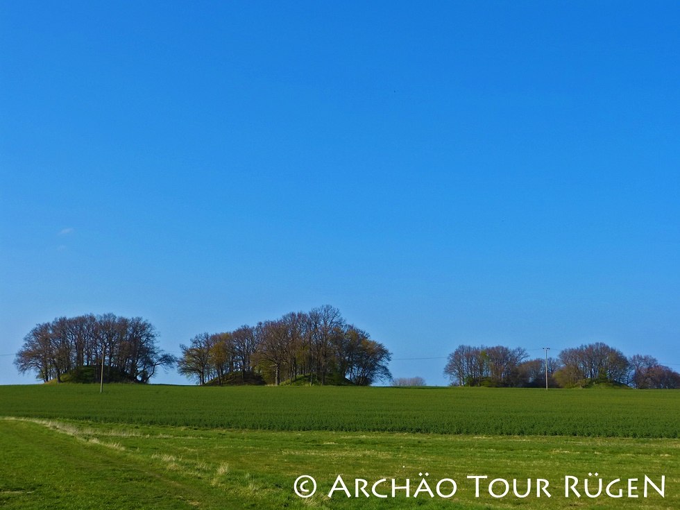 View of the burial mounds "Woorker Berge, © Archäo Tour Rügen