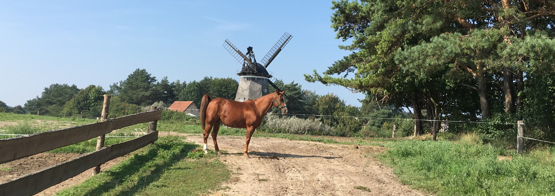 Horse paddocks below the Benz mill, © Bernd Frank