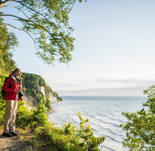 Wild and fascinating: the imposing chalk cliffs, a timeless symbol of the Island of Rügen., © TMV/Roth