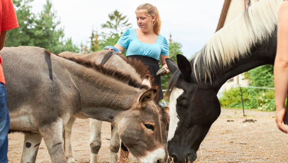 Care and maintenance of animals on the farm, © Jan Ehlers