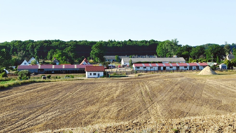 Centrally located on the Island of Rügen near the Baltic resorts: the Hof-Viervitz, © Hof-Viervitz/Hermann