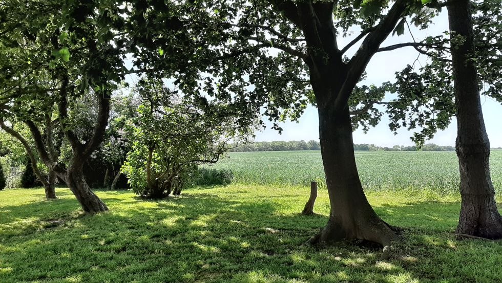 Field near the manor house, © Gutshaus Neu Farpen