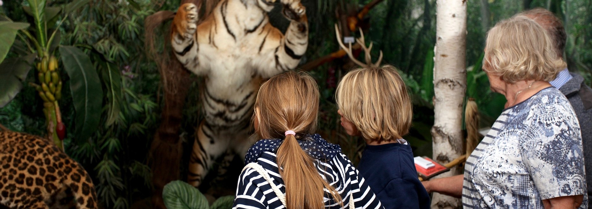 Wildlife Usedom tiger, © H. Böhm / trassenheide.de