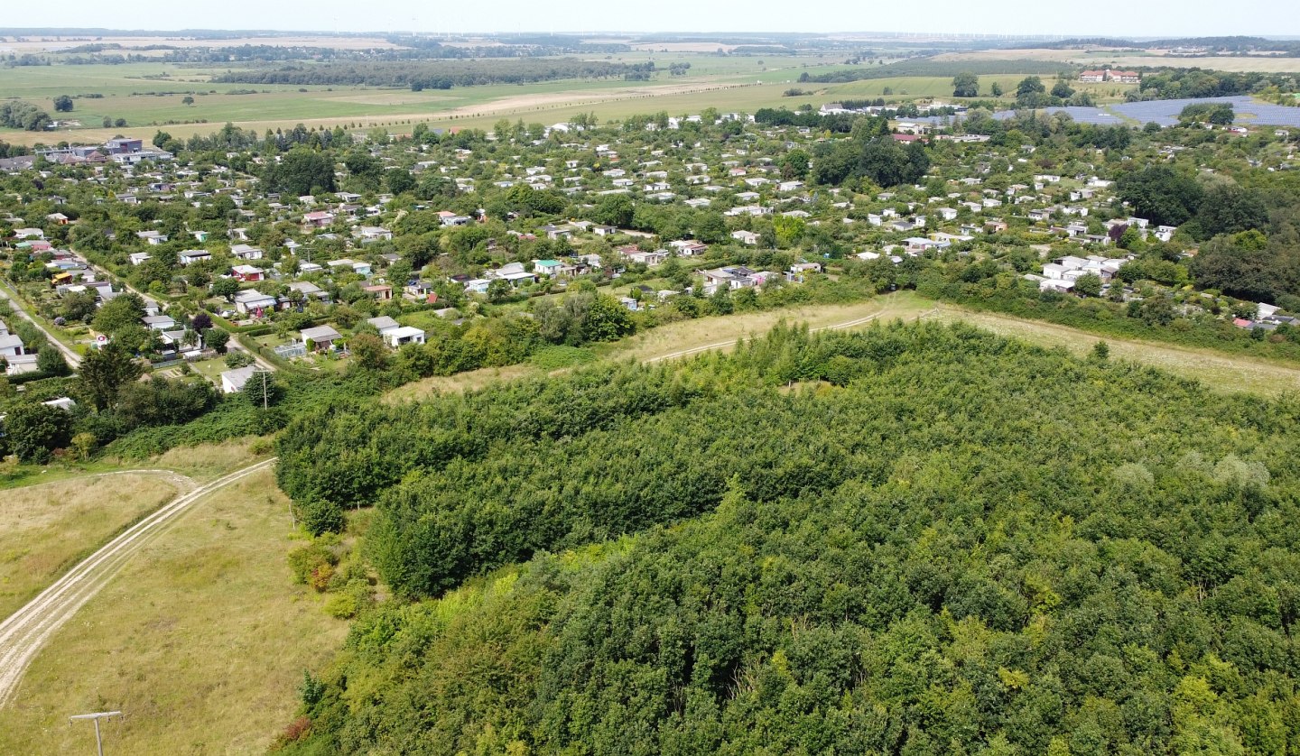 Neubrandenburg-Nettelkuhl climate forest, © Landesforst MV