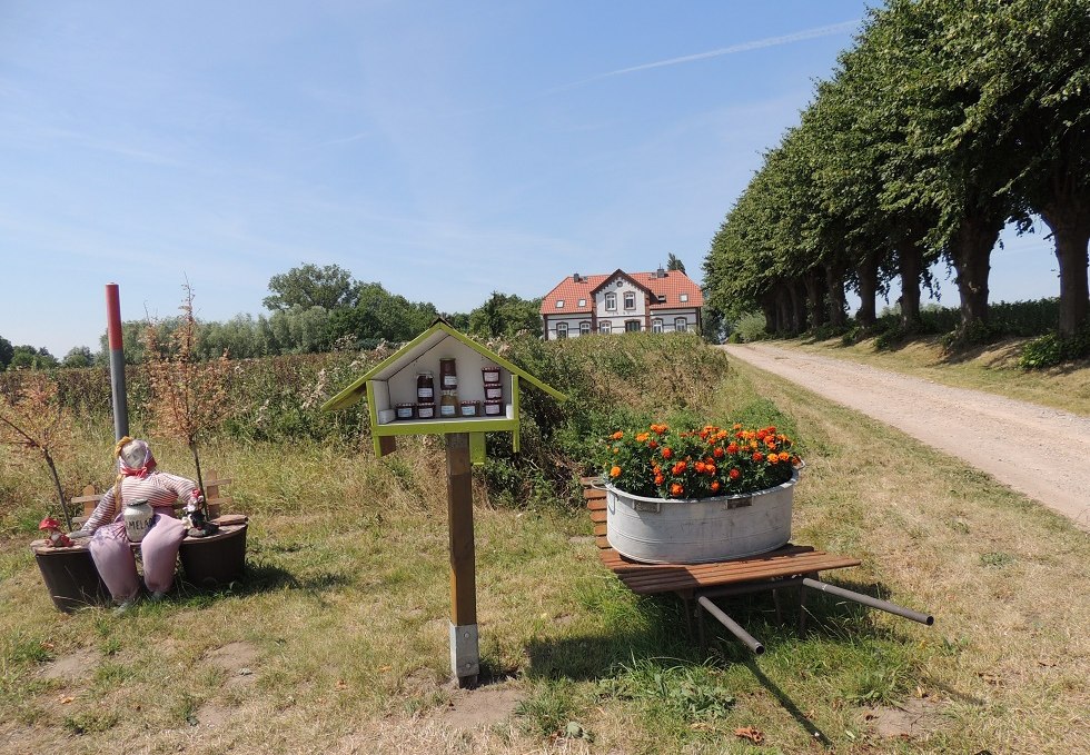 View of the access road to Einhusen, © Kurverwaltung Insel Poel