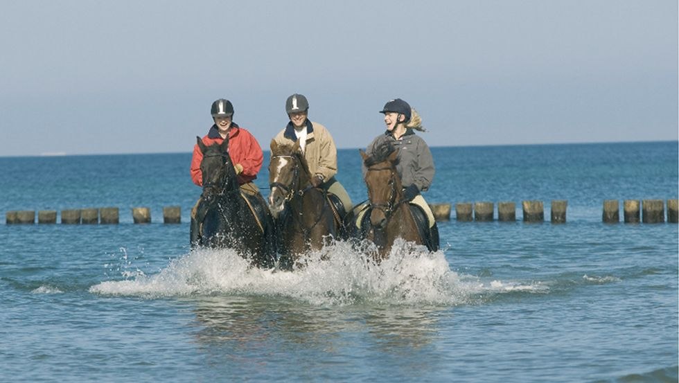 A refreshing ride through the Baltic Sea strengthens rider and horse health alike., © Reitstall Stuthof