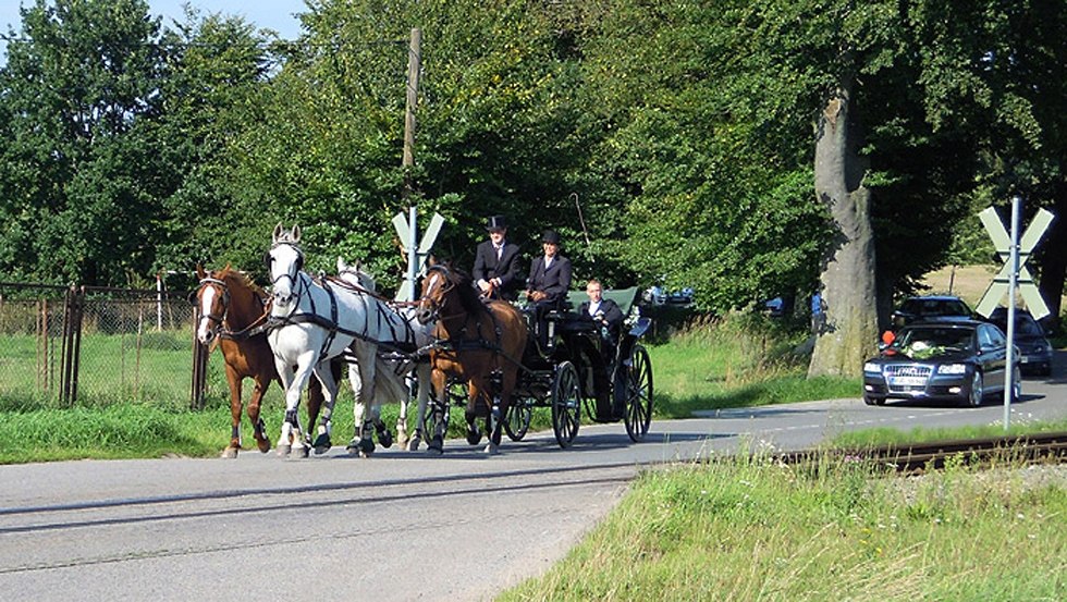 Regular tours by carriage or Kremser are possible from Hof-Viervitz across the Island of Rügen, © Hof-Viervitz/Hermann