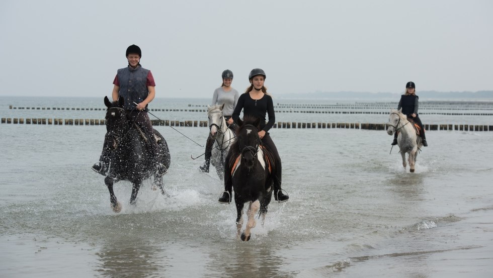 Experience refreshment on horseback in the cool of the Baltic Sea with Reiterhof Gränert., © TMV/ Frank Hafemann