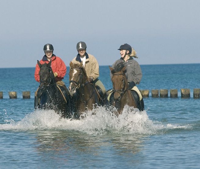 A refreshing ride through the Baltic Sea strengthens rider and horse health alike., © Reitstall Stuthof