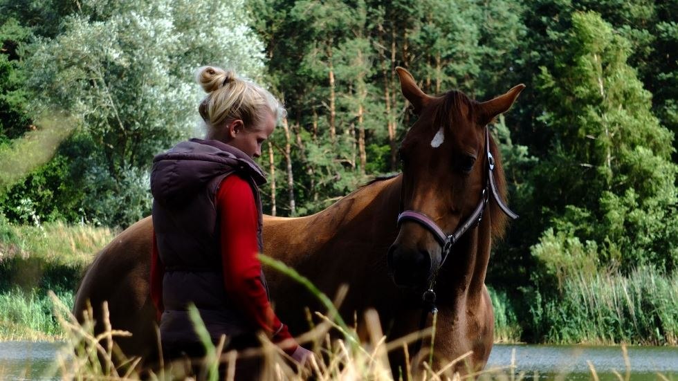 At the Mühlenberg riding facility, great riding vacations can be spent in small groups at the "Reiter Camp, © Reitanlage Mühlenberg/ Mario Mühlenberg