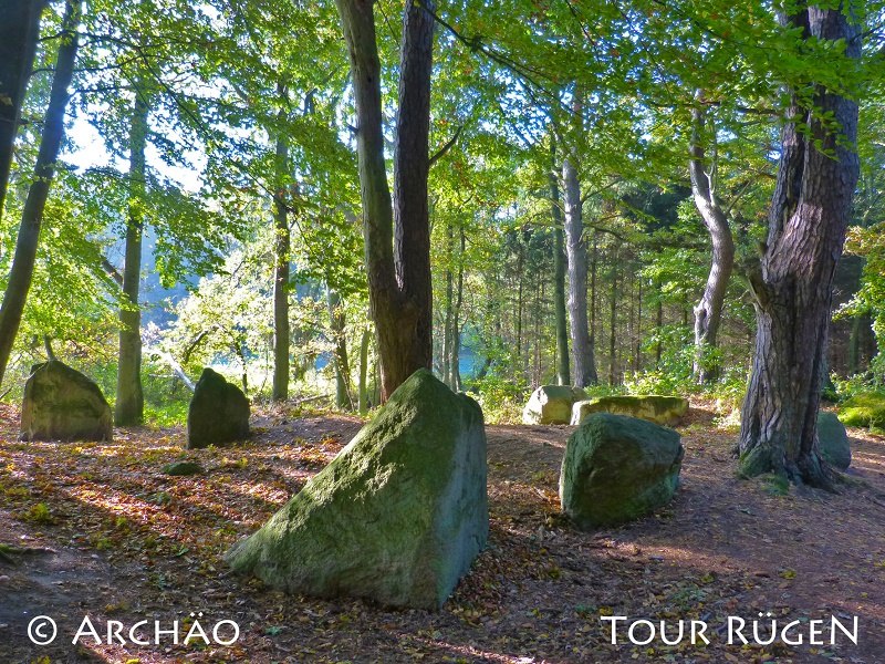 On the coastal path between Lancken-Granitz and Stresow, the "goat stones" lie in the shade of tall deciduous trees., © Archäo Tour Rügen