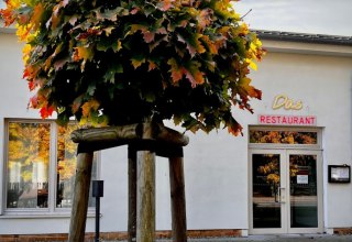 The restaurant in Dettmannsdorf, © Das Restaurant