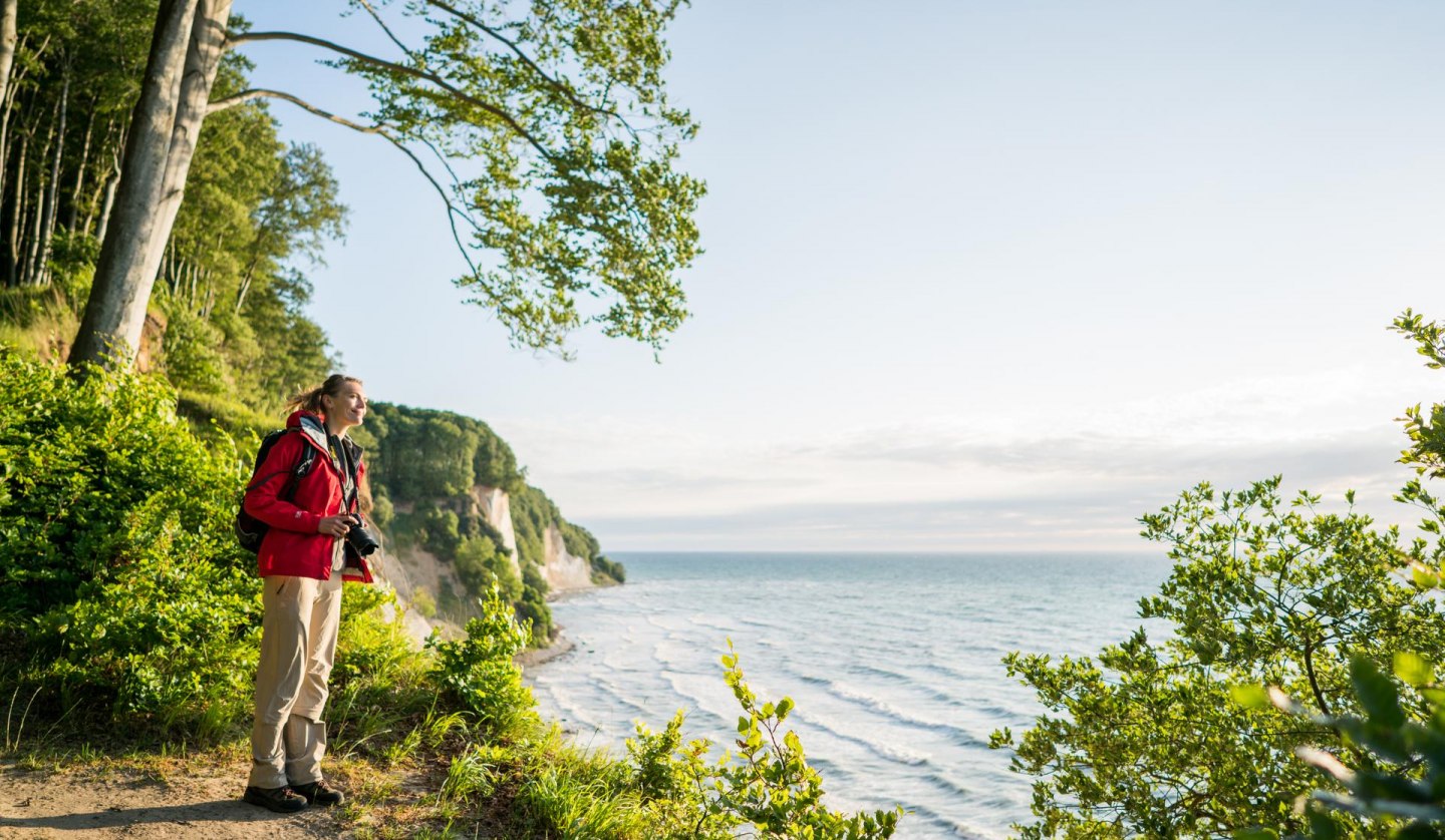 Wild and fascinating: the imposing chalk cliffs, a timeless symbol of the Island of Rügen., © TMV/Roth