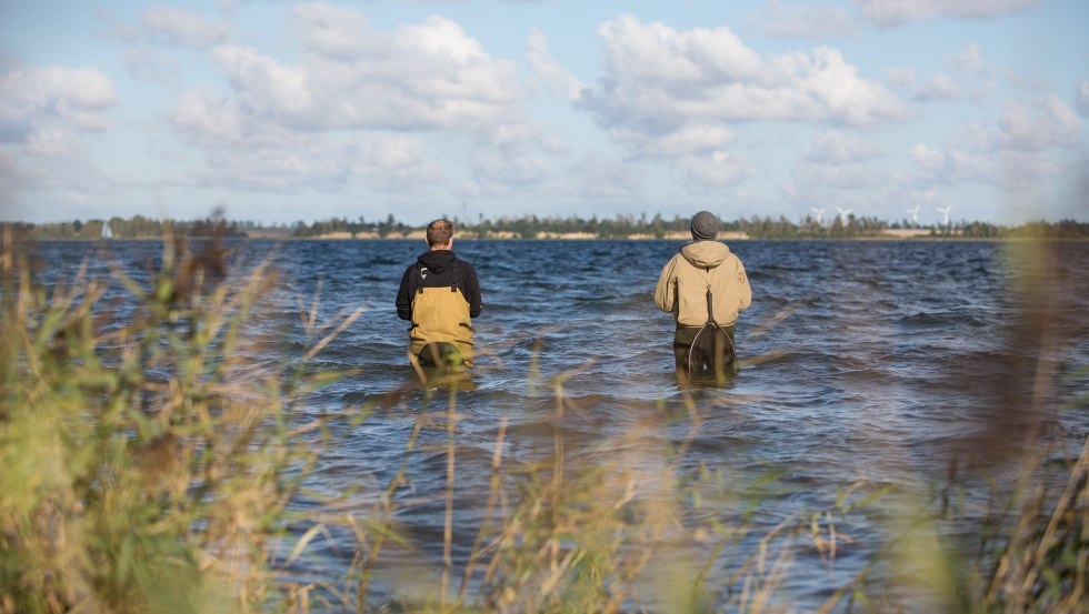 Good pike hotspots can be reached with waders for example in the Großer Jasmunder Bodden, in the area of the Wittower Ferry, in the Kubitzer Bodden south of Barhöft or in the Greifswalder Bodden near Tremt., © TMV/Läufer