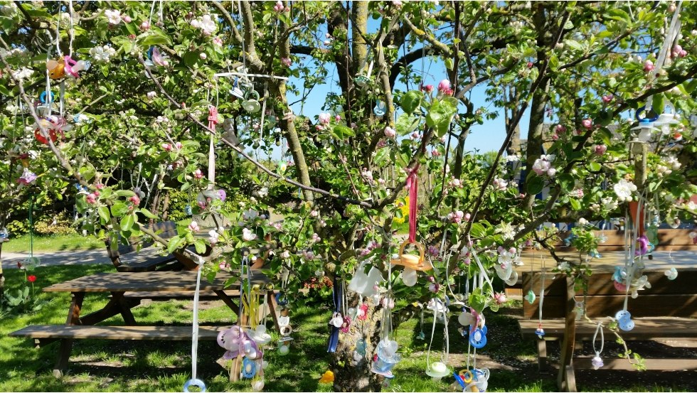 The famous pacifier tree takes the pacifiers of the youngest guests as a farewell gift, so that they are always remembered, © Ostseeferienhäuser Harry Fork