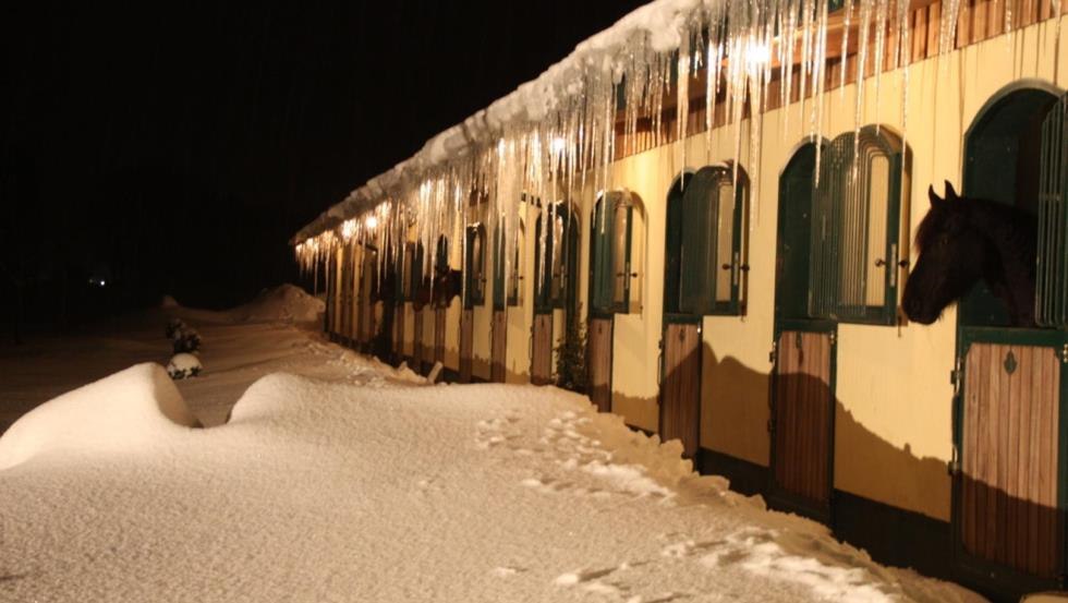 The riding facility Tegelhof in winter magic, © Sven C. Arlt