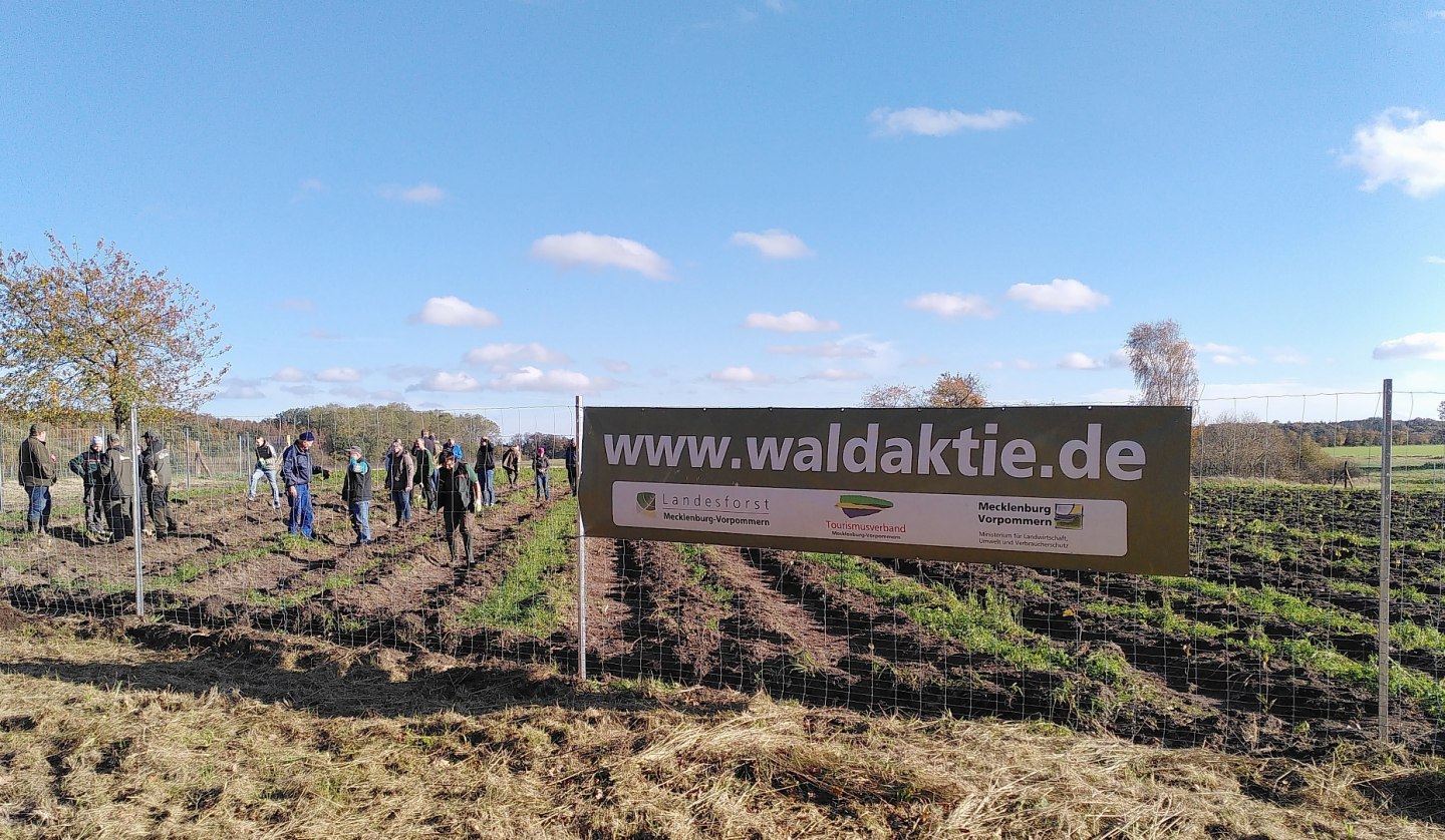 A climate forest is being created on Rügen, © Johanna Köhnlein