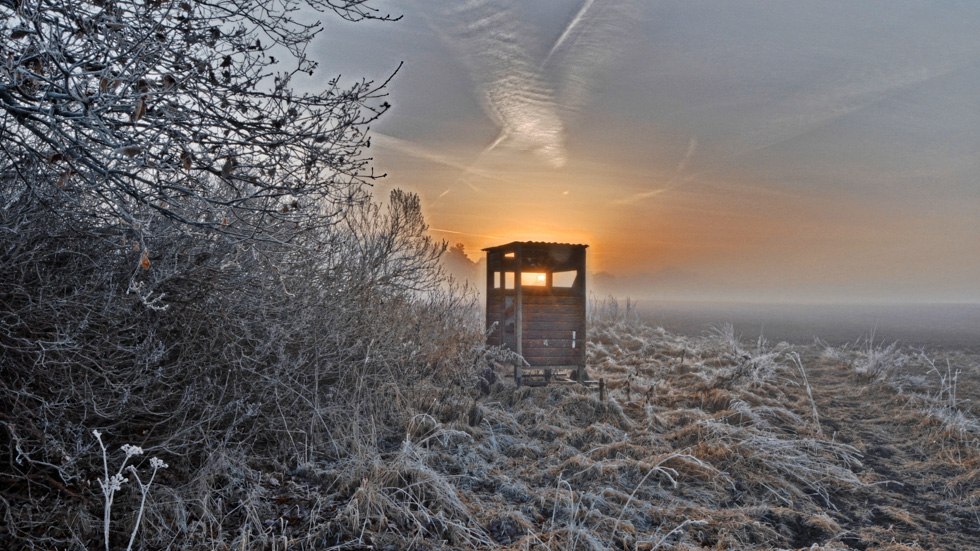 High seat at dusk, © Uwe Meyer