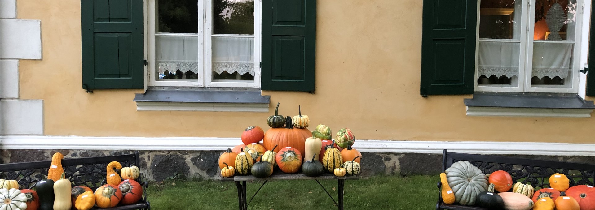 Pumpkin offer directly from the farm, © Britta Siebenbürgen