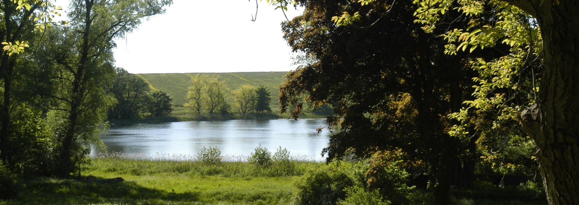 Cool off in the bathing lake of Walkendorf., © Förderverein der Heimat- und Kulturpflege Walkendorf