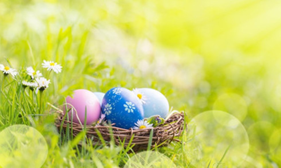 Easter nest, © Adobe Stock/Floydine