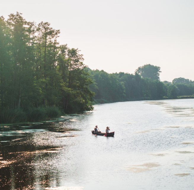 Two people paddle in a canoe on the Peene, surrounded by lush nature and sun-drenched water.