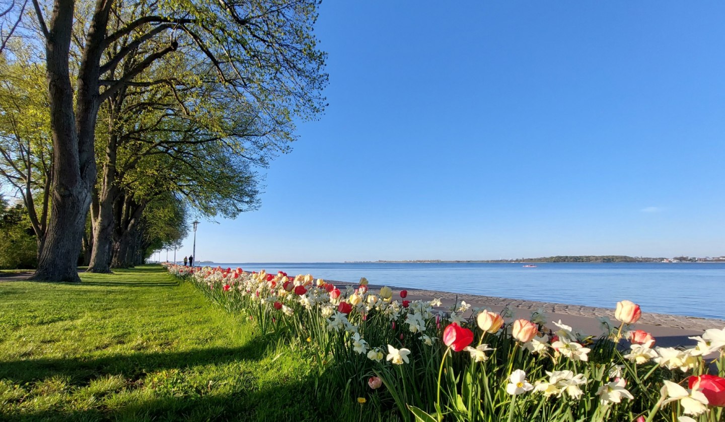 Sundpromenade in spring, © Kredl / TZ HST