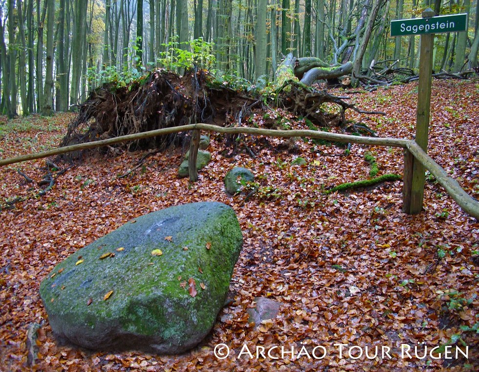 hidden in deciduous forest lies the legendary stone, © Archäo Tour Rügen