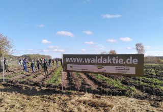 A climate forest is being created on Rügen, © Johanna Köhnlein