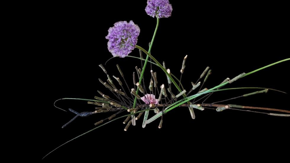 Flower arrangement, © Andreas Manczyk