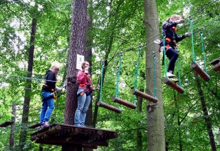 Climbing forest, © Sabrina Wittkopf-Schade