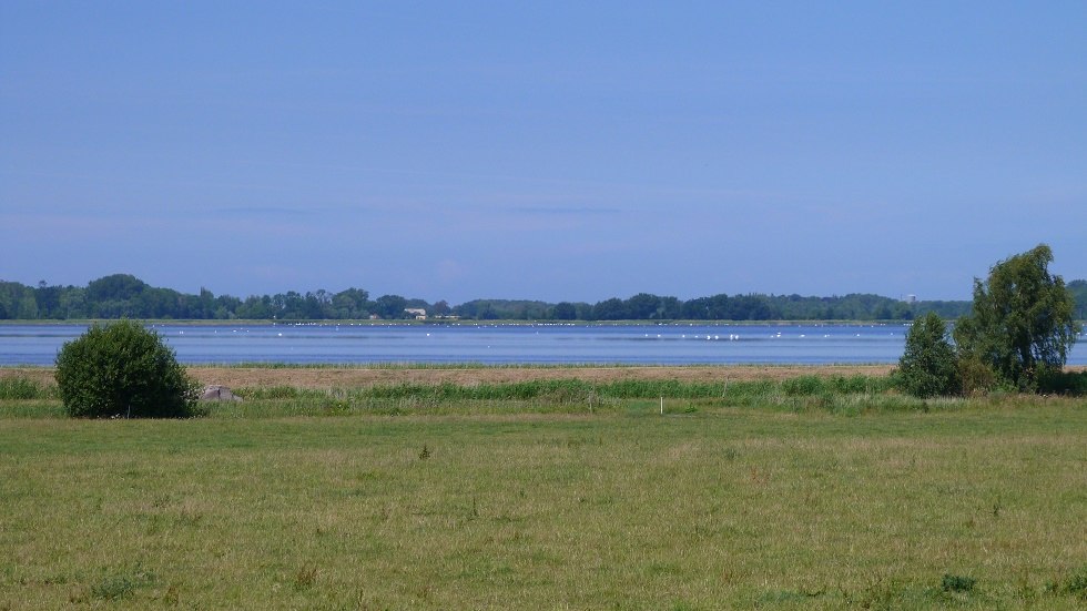 View into the vastness of the Vorpommersche Boddenlandschaft, © Ummanz-Information/Bordych