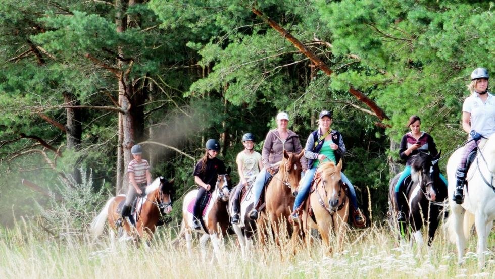 Experience great rides through the Lewitz with the Mühlenberg riding facility, © Reitanlage Mühlenberg/ Mario Mühlenberg