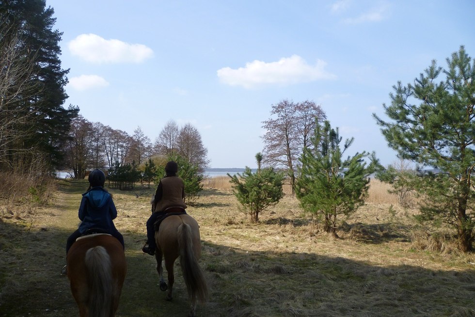 Directly from the Fennhof on horseback through the dreamlike scenery of the Riether Winkel, © Fennhof/Steinhof